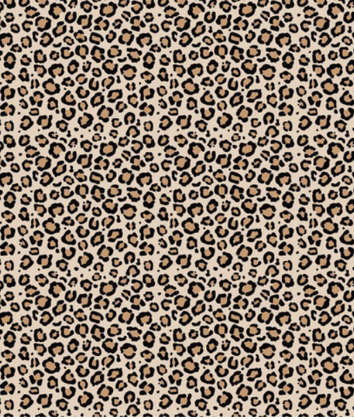 Leopard Print Acrylic Freshie Charm Holder