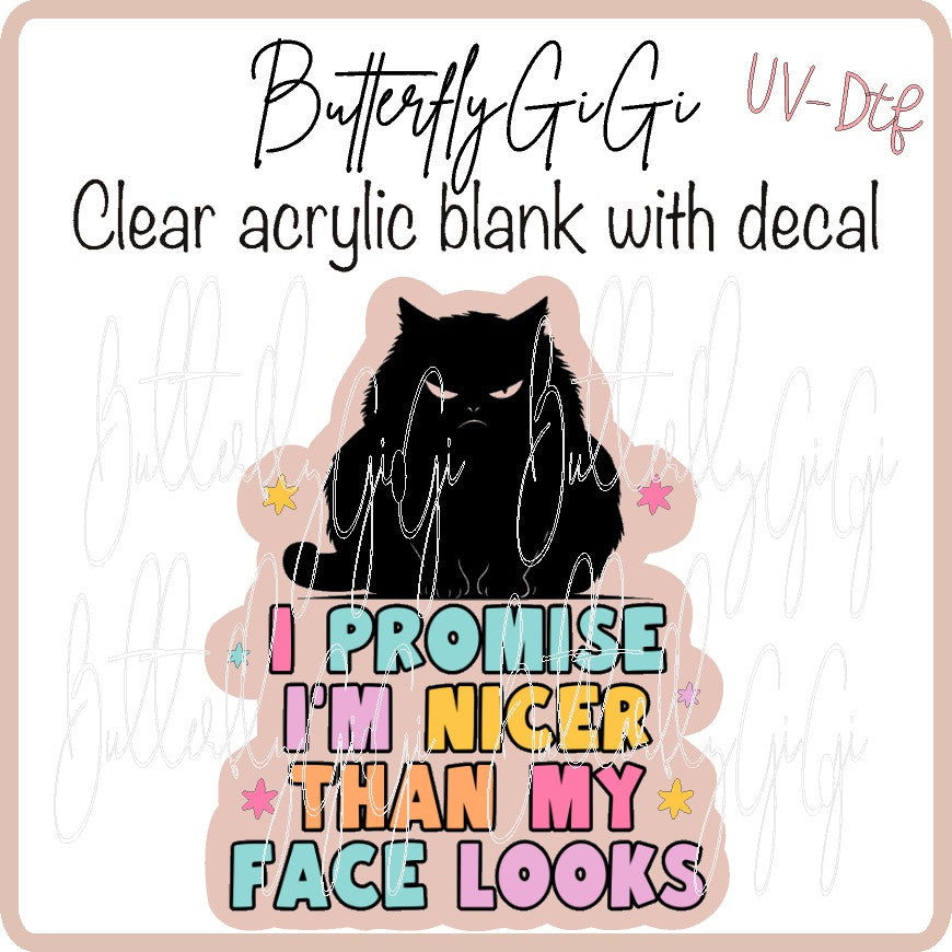 Nicer than Face looks Cat UV DTF