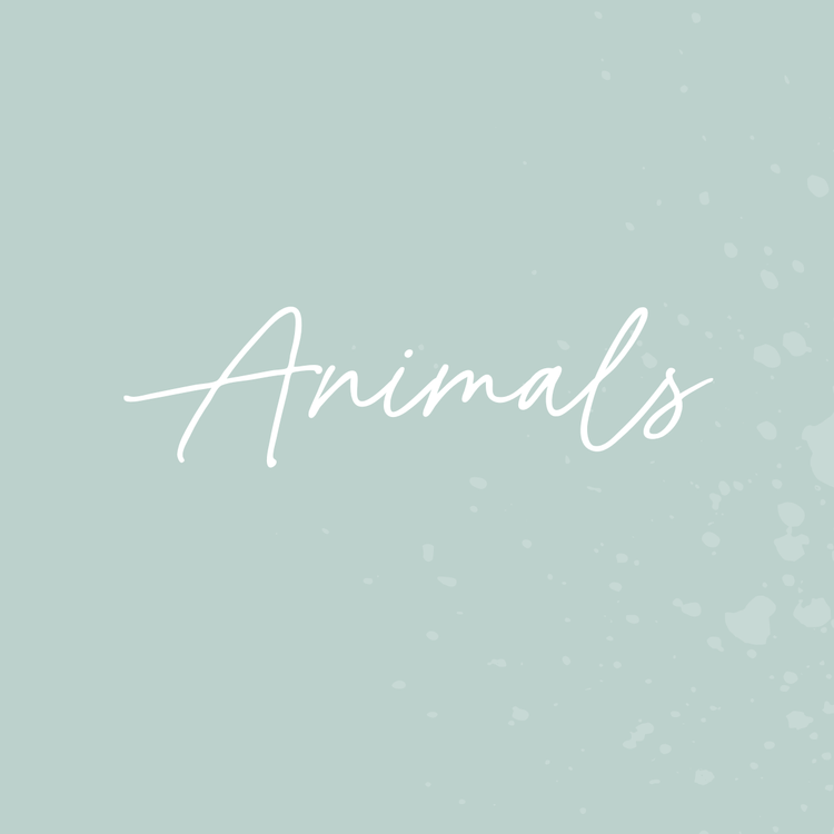 Animals