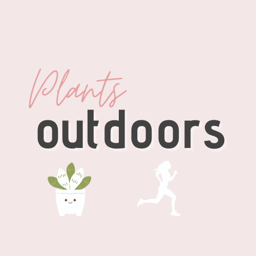 Plants Outdoors