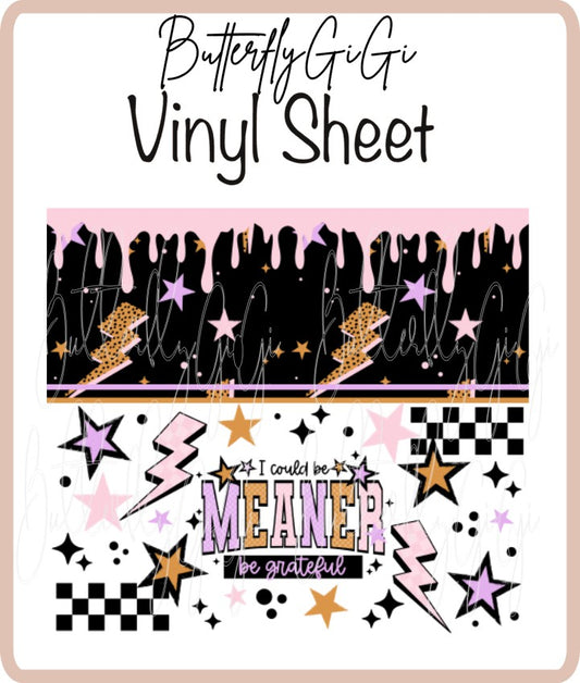 20 oz I could be Meaner