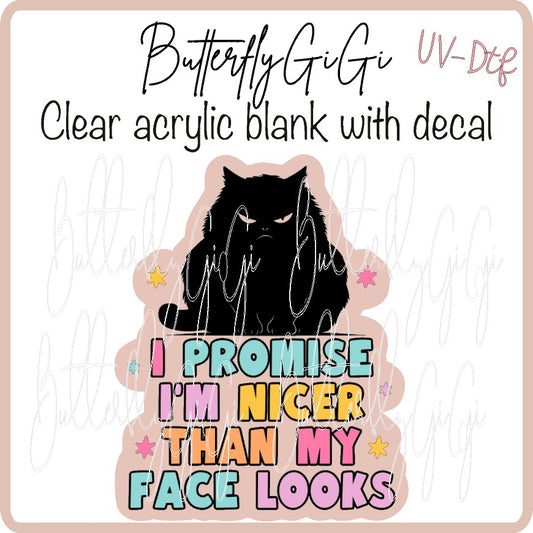Nicer than Face looks Cat UV DTF