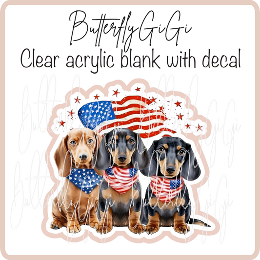 Patriotic Dachshund